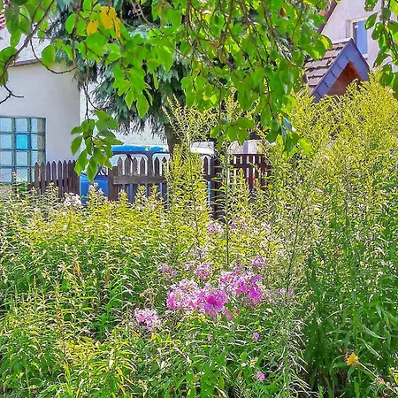 Mirow Ot Holiday home Qualzow